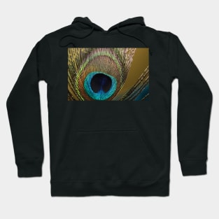 Peacock Hoodie